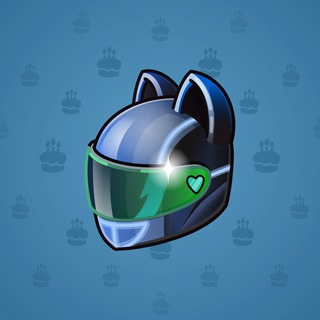 Neko Helmet #10023
