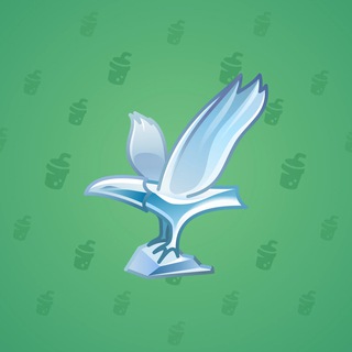 Rare Bird #7570
