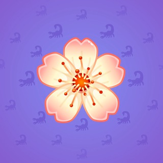 Sakura Flower #55499