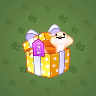 Snake Box #180371