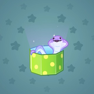 Snake Box #81696