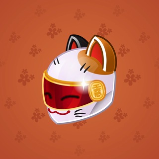 Neko Helmet #2995