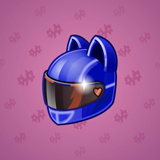 Neko Helmet #5244