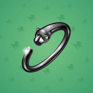 Nail Bracelet #2305