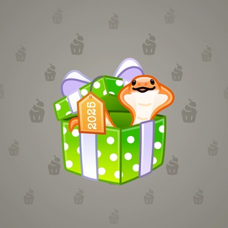 Snake Box #120724