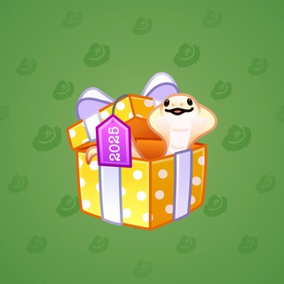 Snake Box #26037