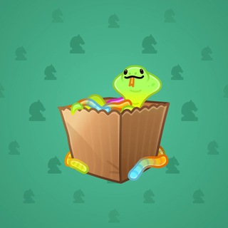 Snake Box #89844