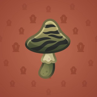 Spy Agaric #4973