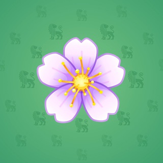 Aubrieta