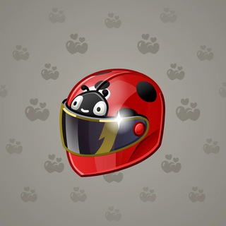 Neko Helmet #1582