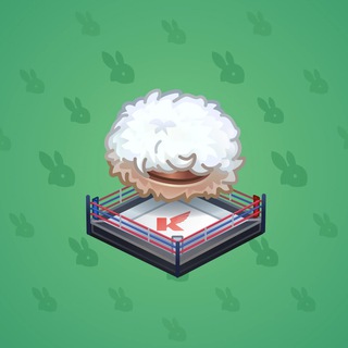Fighting Ring