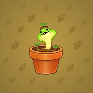 Snake Box #63224