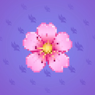 Sakura Flower #17725