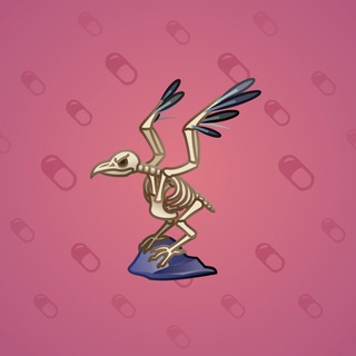 Rare Bird #11364