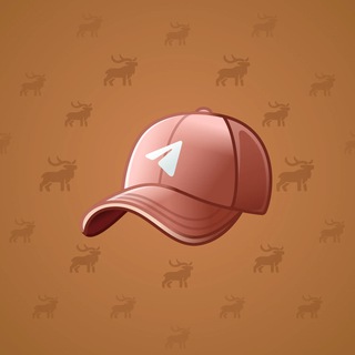 Durov’s Cap #3493