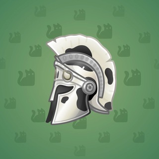 Heroic Helmet #948