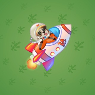 Stellar Rocket #137563