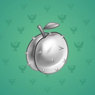 Precious Peach #1143