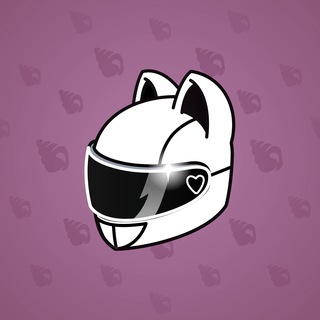 Neko Helmet #7057