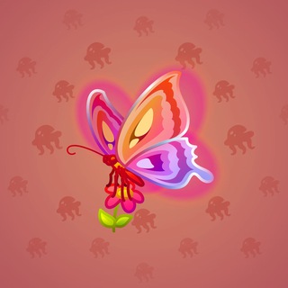 Rare Bird #6970
