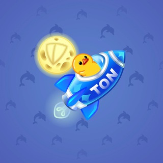 Stellar Rocket #84483