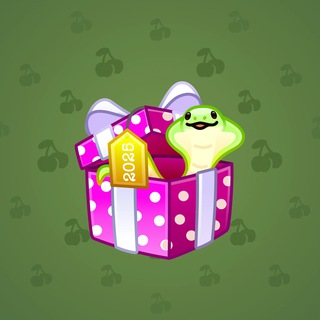 Snake Box #107621