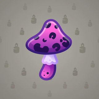 Spy Agaric #4915