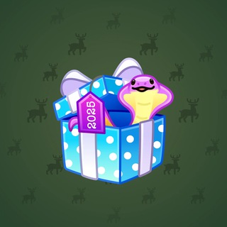 Snake Box #2353