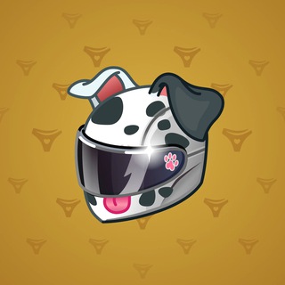 Neko Helmet #6881