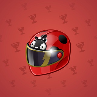 Neko Helmet #10378