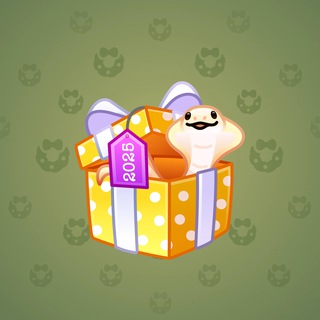Snake Box #175419
