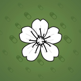 Sakura Flower #75612