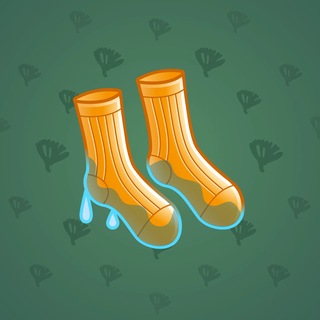 Fresh Socks #165466