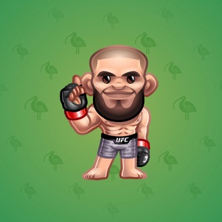 UFC Strike #22974
