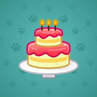 Homemade Cake #113797