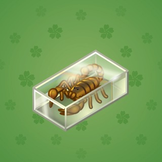 Scorpion