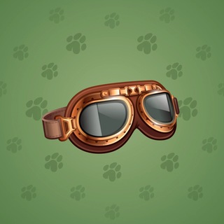 Durov’s Glasses #2299