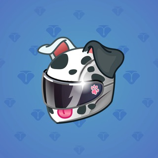 Neko Helmet #7988