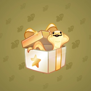 Snake Box #33675