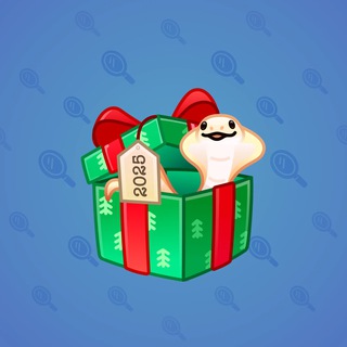 Snake Box #20384