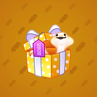 Snake Box #14586