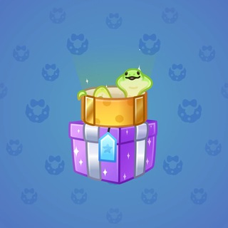 Snake Box #74581