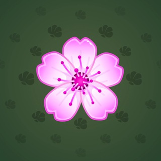 Sakura Flower #70729