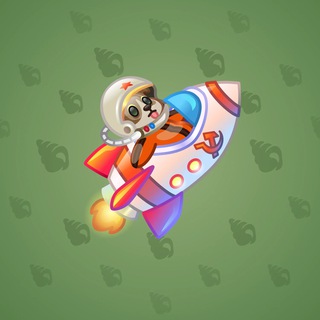 Stellar Rocket #34172