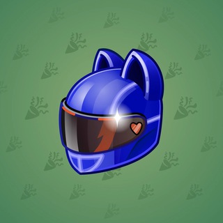 Neko Helmet #4652