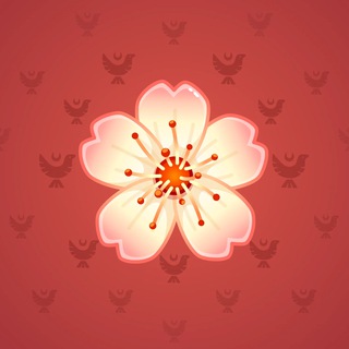 Sakura Flower #84865