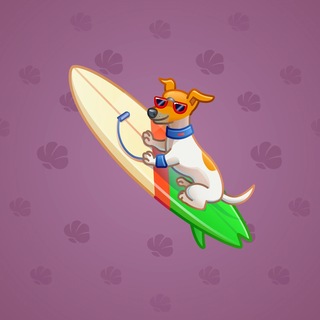Surge Board #15052