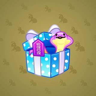 Snake Box #187528