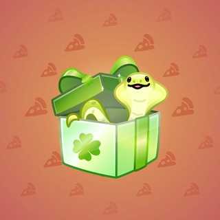 Snake Box #23242