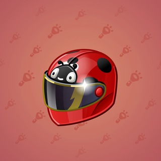 Neko Helmet #5442